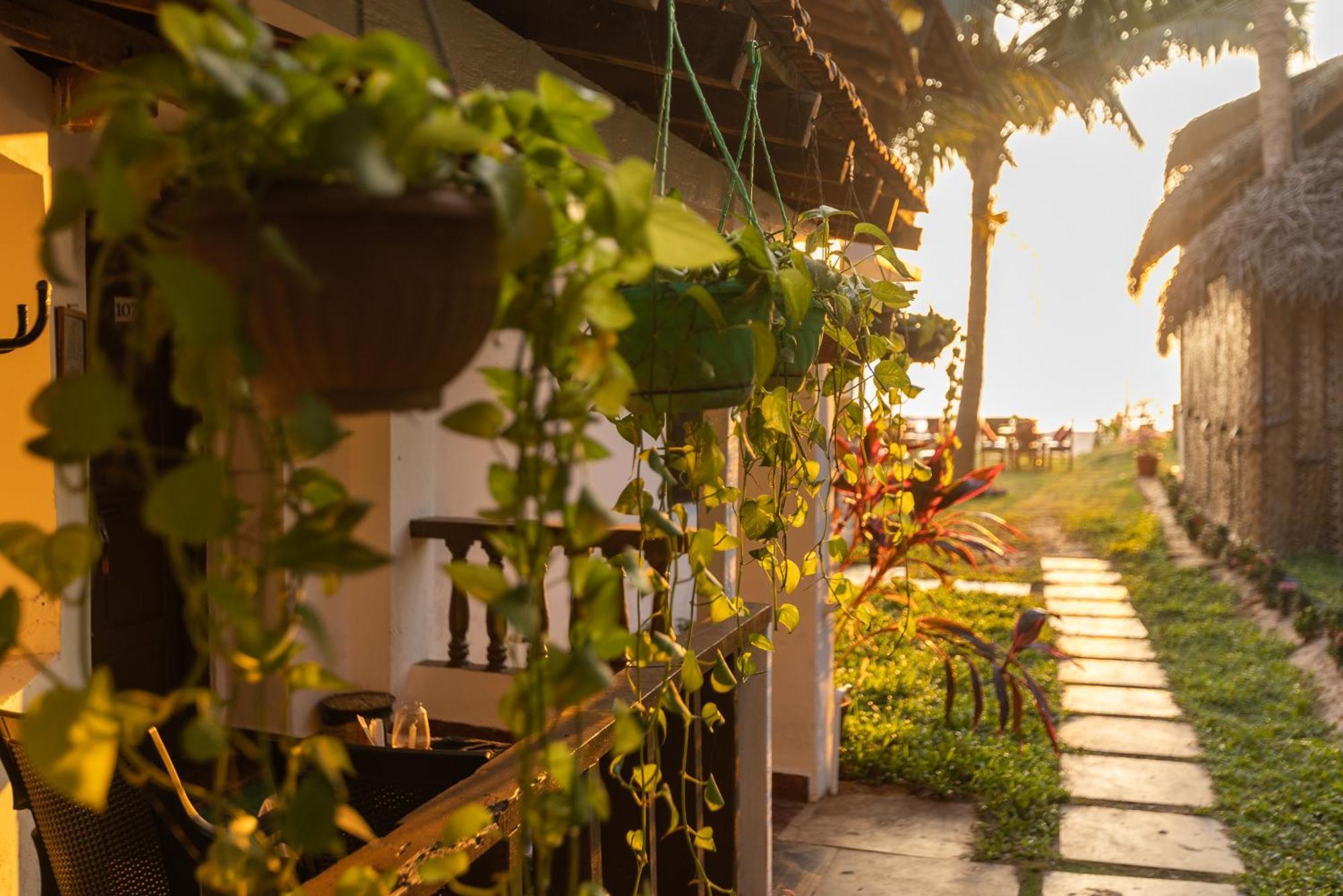 Forget Me Not Resort Agonda Εξωτερικό φωτογραφία